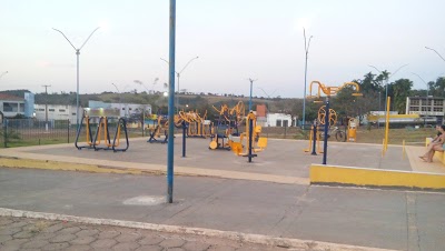 Academia Pública